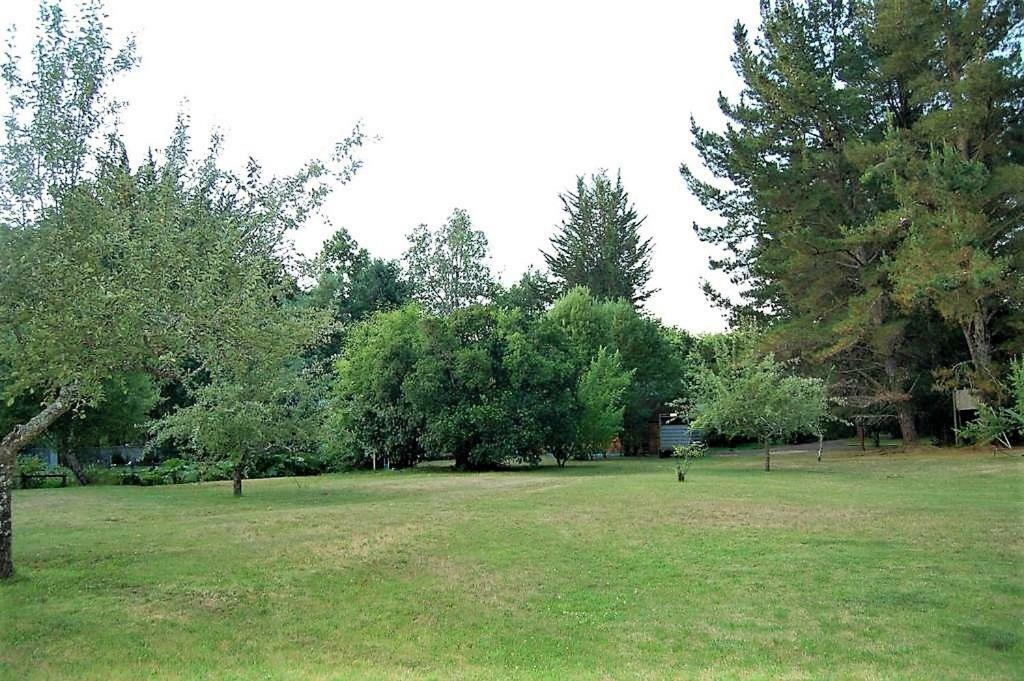 Cabanas Tunkelen Pucón Exteriör bild