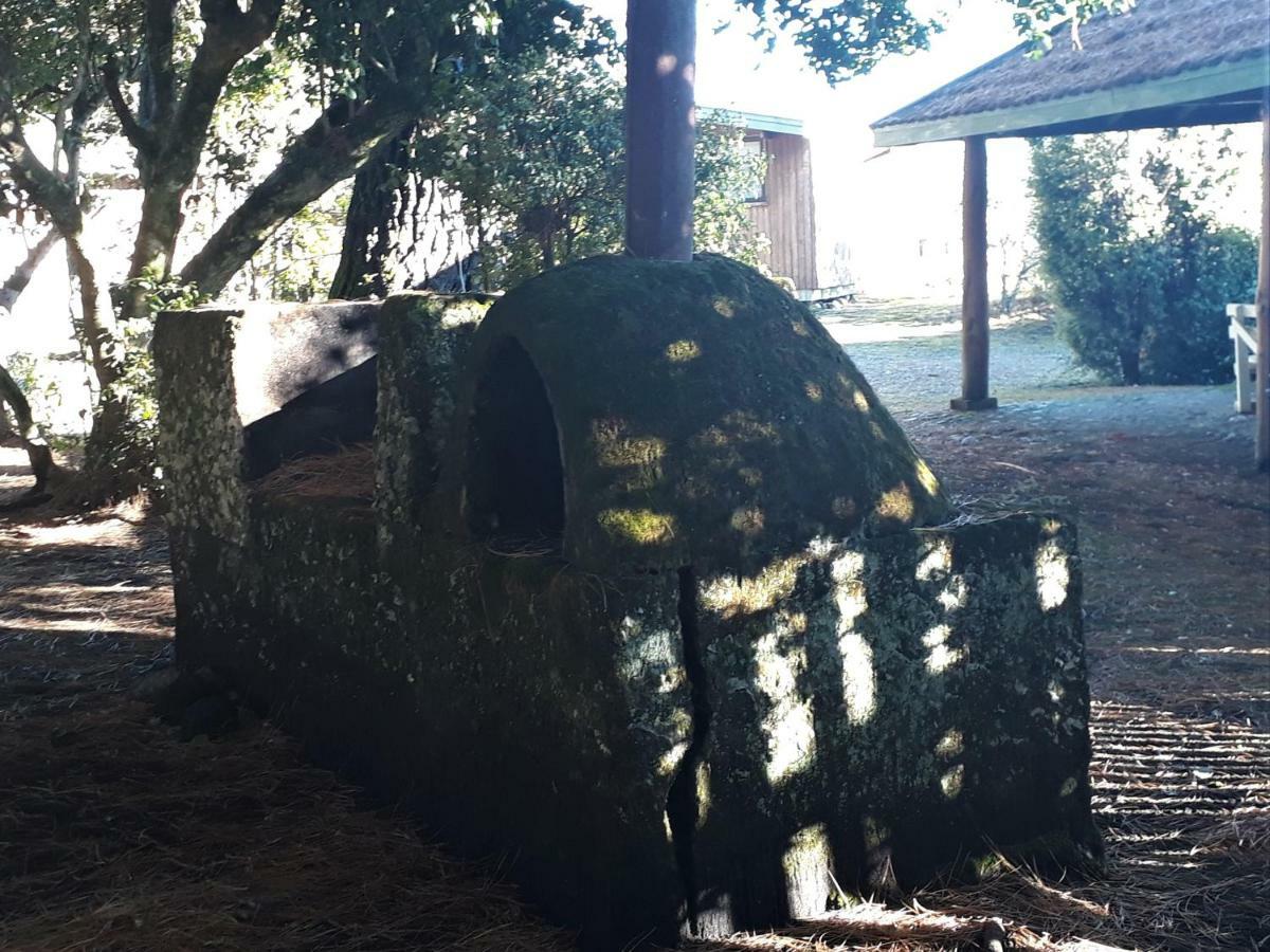 Cabanas Tunkelen Pucón Exteriör bild